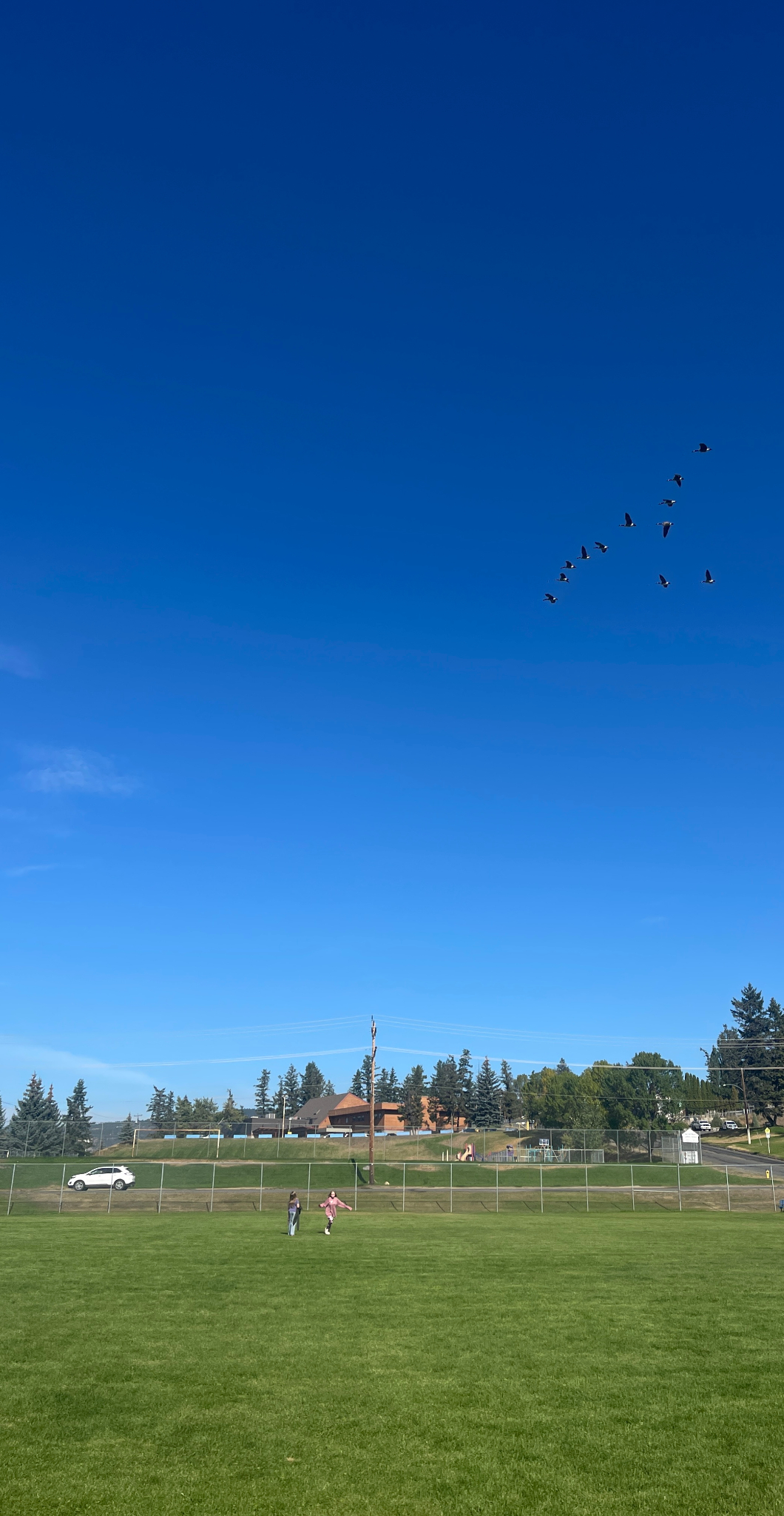 Kindergartens Grade 1s create repeating pat marina campsall